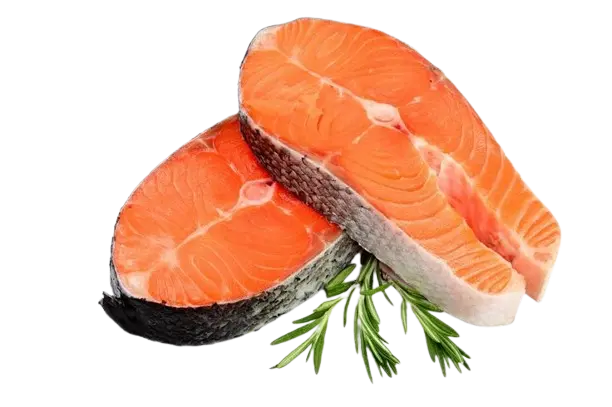 fish flash