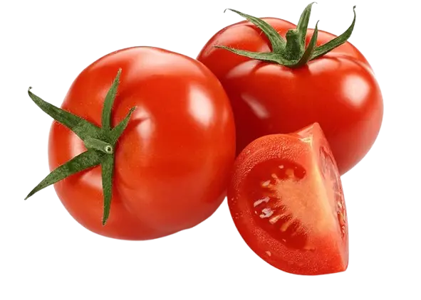Tamatar