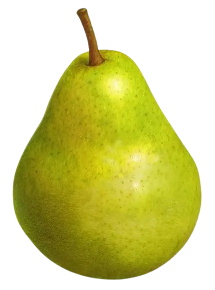 pear