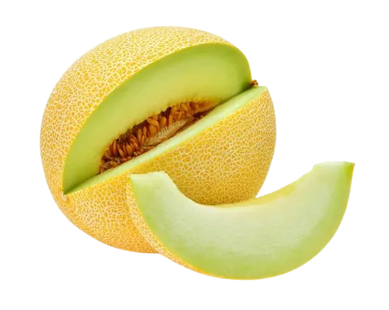 musk melon