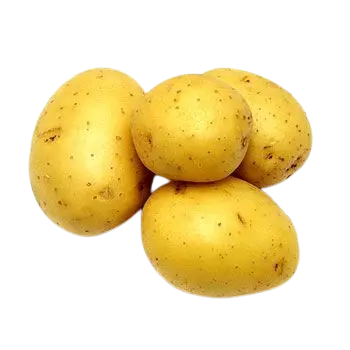 Aloo