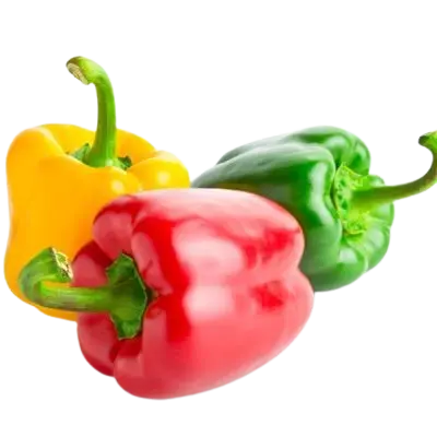 Shimla Mirchi