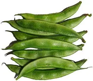sem