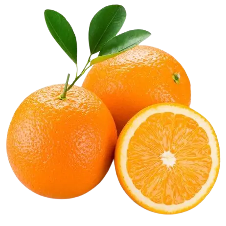 Santra/Orange