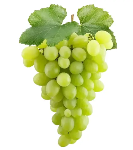 Grapes