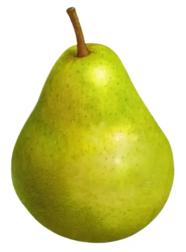 pear