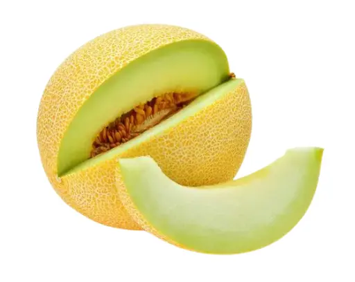 musk melon