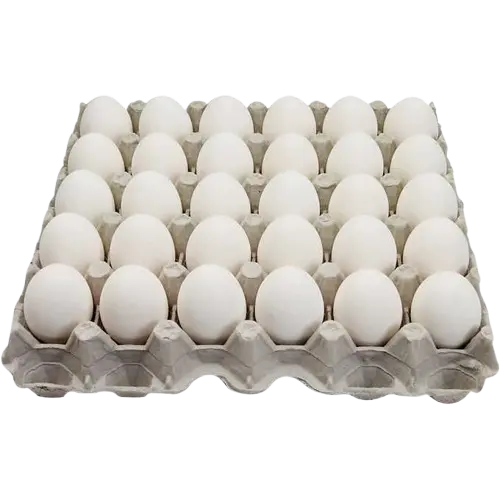 Egg